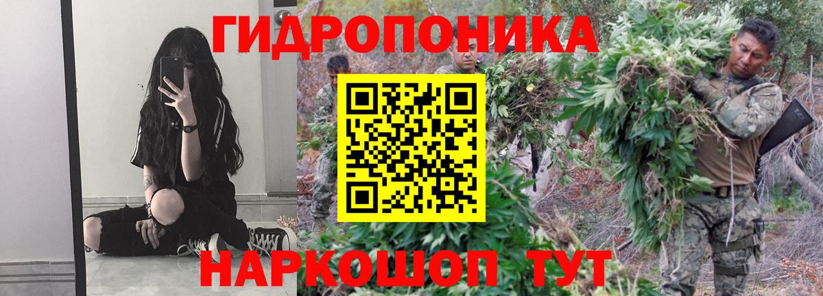 Марихуана ГИДРОПОН Новотроицк